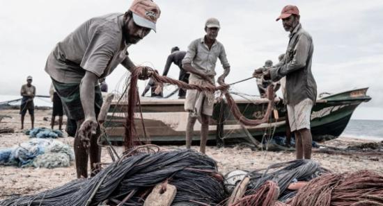 Fisheries Ministry Seeks Fish Catch Report